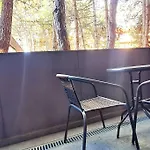 Aquarelle - Forest Chill * Varna