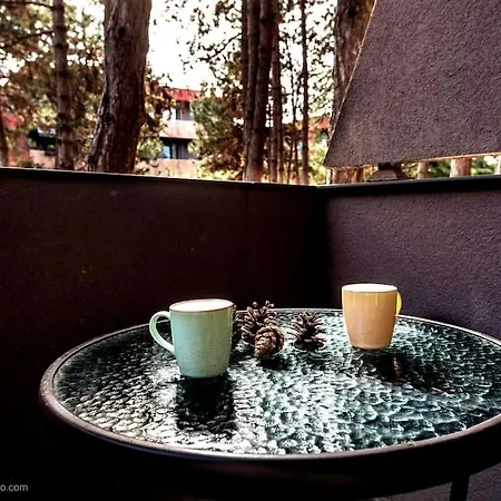 Aquarelle - Forest Chill * Varna