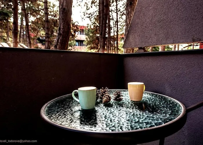 Aquarelle - Forest Chill * Varna